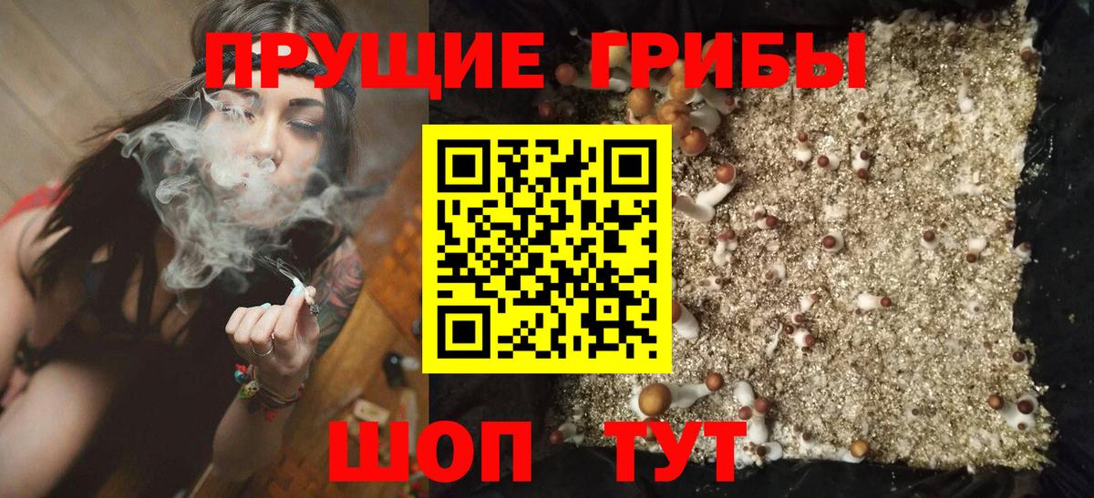 Псилоцибиновые грибы мухоморы  Вход с VPN  Сальск  Псилоцибиновые грибы мицелий 