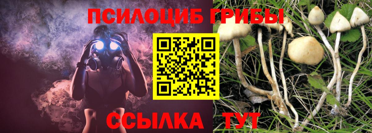 Галлюциногенные грибы мицелий Сальск